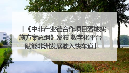 《中非产业链合作项目落地实施方案总纲》发布 数字化平台赋能非洲发展驶入快车道