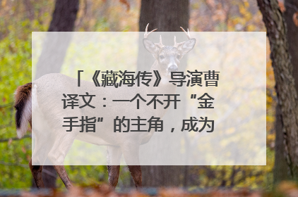 《藏海传》导演曹译文：一个不开“金手指”的主角，成为苍生守护者