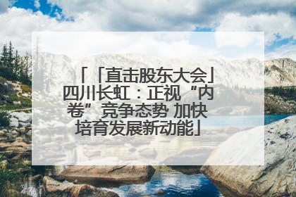 「直击股东大会」四川长虹：正视“内卷”竞争态势 加快培育发展新动能