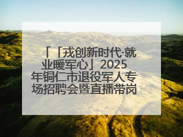 「戎创新时代·就业暖军心」2025年铜仁市退役军人专场招聘会暨直播带岗活动顺利举行