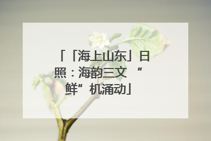 「海上山东」日照：海韵三文 “鲜”机涌动