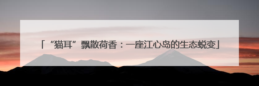 “猫耳”飘散荷香：一座江心岛的生态蜕变