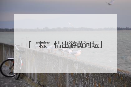 “粽”情出游黄河坛