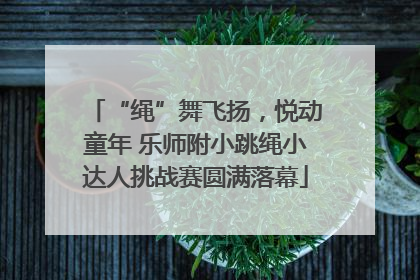 “绳”舞飞扬，悦动童年 乐师附小跳绳小达人挑战赛圆满落幕