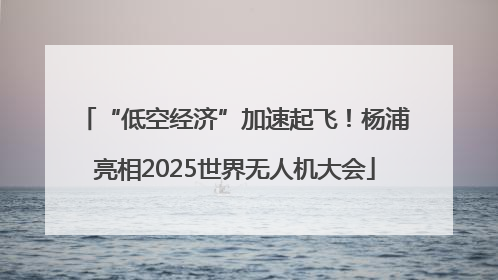 “低空经济”加速起飞！杨浦亮相2025世界无人机大会