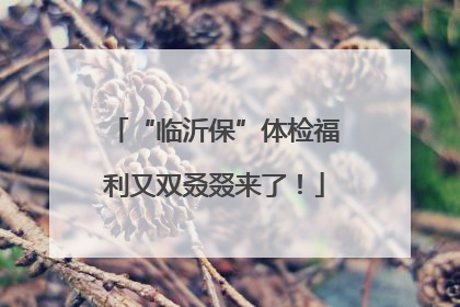 “临沂保”体检福利又双叒叕来了！