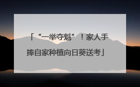“一举夺魁”！家人手捧自家种植向日葵送考