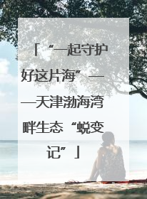 “一起守护好这片海”——天津渤海湾畔生态“蜕变记”