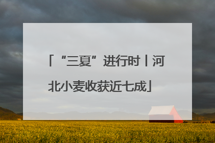 “三夏”进行时丨河北小麦收获近七成