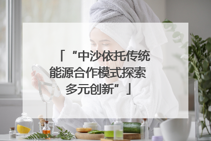“中沙依托传统能源合作模式探索多元创新”