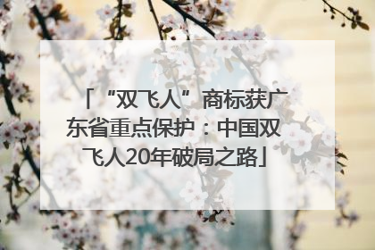 “双飞人”商标获广东省重点保护：中国双飞人20年破局之路
