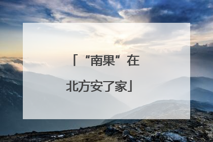 “南果”在北方安了家