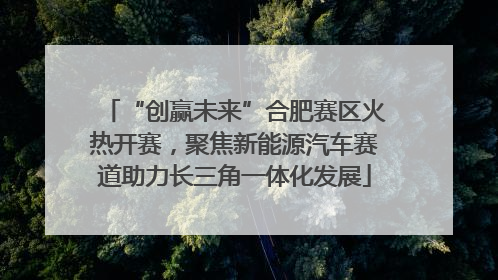 “创赢未来”合肥赛区火热开赛，聚焦新能源汽车赛道助力长三角一体化发展