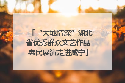 “大地情深”湖北省优秀群众文艺作品惠民展演走进咸宁