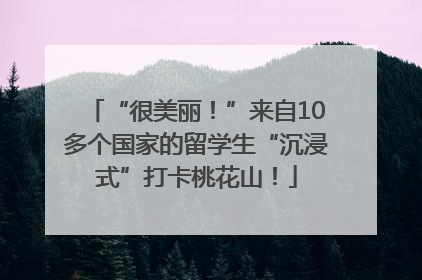 “很美丽！”来自10多个国家的留学生“沉浸式”打卡桃花山！