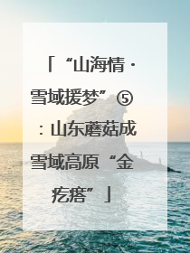 “山海情・雪域援梦”⑤：山东蘑菇成雪域高原“金疙瘩”