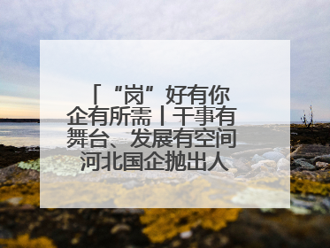 “岗”好有你 企有所需丨干事有舞台、发展有空间 河北国企抛出人才“橄榄枝”