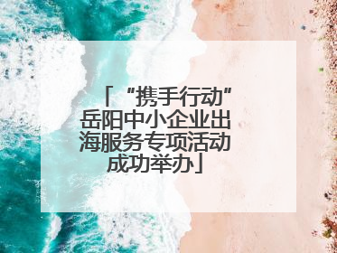 “携手行动”岳阳中小企业出海服务专项活动成功举办