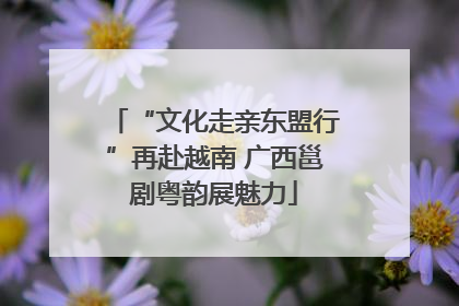 “文化走亲东盟行”再赴越南 广西邕剧粤韵展魅力