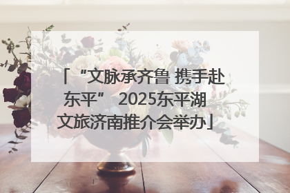 “文脉承齐鲁 携手赴东平” 2025东平湖文旅济南推介会举办