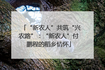 “新农人”共筑“兴农路”：“新农人”付鹏程的稻乡情怀