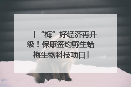 “梅”好经济再升级！保康签约野生蜡梅生物科技项目