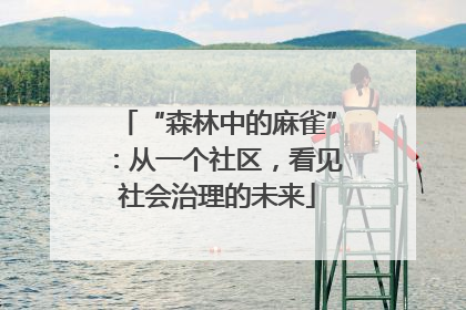 “森林中的麻雀”：从一个社区，看见社会治理的未来