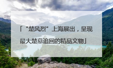 “楚风烈”上海展出，呈现最大楚墓追回的精品文物