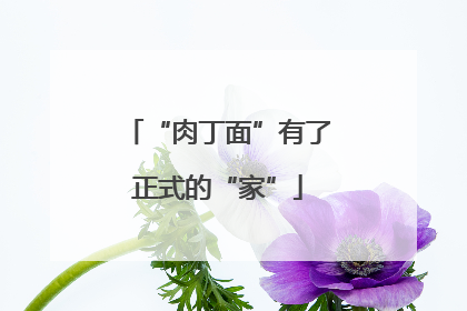 “肉丁面”有了正式的“家”