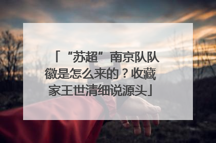 “苏超”南京队队徽是怎么来的？收藏家王世清细说源头