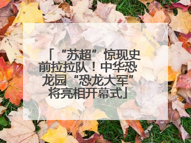 “苏超”惊现史前拉拉队！中华恐龙园“恐龙大军”将亮相开幕式