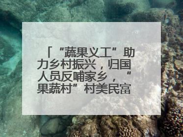 “蔬果义工”助力乡村振兴，归国人员反哺家乡，“果蔬村”村美民富香飘远近