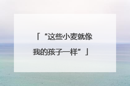 “这些小麦就像我的孩子一样”