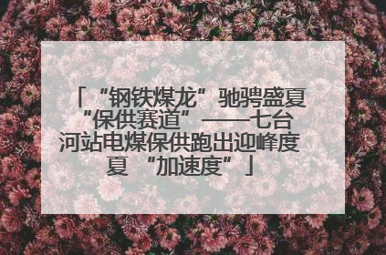 “钢铁煤龙”驰骋盛夏 “保供赛道”——七台河站电煤保供跑出迎峰度夏 “加速度”