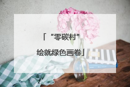 “零碳村” 绘就绿色画卷