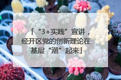 “3+实践”宣讲，经开区党的创新理论在基层“潮”起来