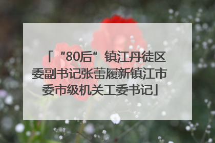 “80后”镇江丹徒区委副书记张蕾履新镇江市委市级机关工委书记
