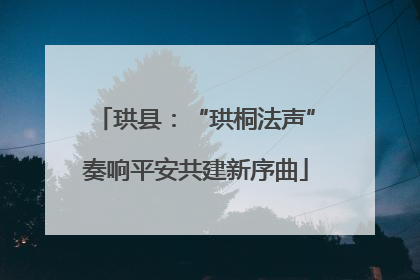 珙县：“珙桐法声”奏响平安共建新序曲