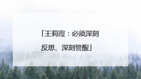 王莉霞：必须深刻反思、深刻警醒