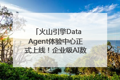 火山引擎Data Agent体验中心正式上线！企业级AI数据专家触手可及