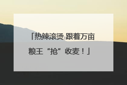 热辣滚烫 跟着万亩粮王“抢”收麦！