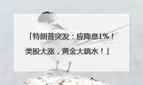 特朗普突发：应降息1%！美股大涨，黄金大跳水！