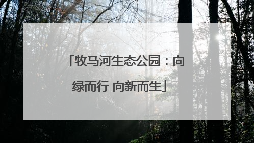 牧马河生态公园：向绿而行 向新而生