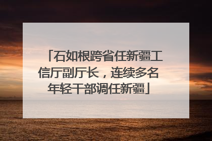 石如根跨省任新疆工信厅副厅长，连续多名年轻干部调任新疆