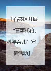 石鼓区开展“普惠托育、科学育儿”宣传活动