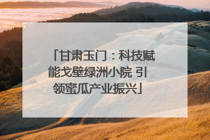甘肃玉门：科技赋能戈壁绿洲小院 引领蜜瓜产业振兴