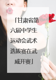甘肃省第六届中学生运动会武术选拔赛在武威开赛