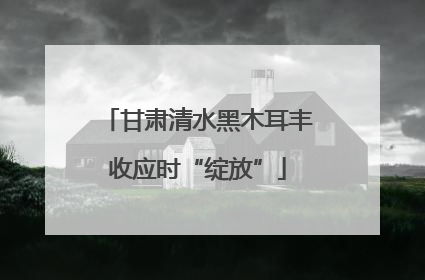 甘肃清水黑木耳丰收应时“绽放”