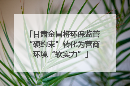 甘肃金昌将环保监管“硬约束”转化为营商环境“软实力”