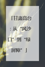 甘肃高台：从“风沙口”到“绿屏障”